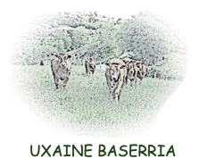 Logo Uxaine Baserria